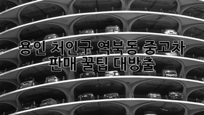 용인 처인구 역북동 중고차 판매 꿀팁 대방출! 🚗💨